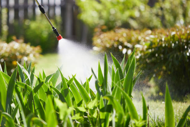 24/7 Emergency Mosquito Control experts in Shenandoah, IA