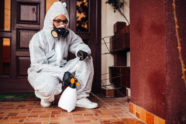Reliable Mosquito Control contractor in Shenandoah, IA by Show Me Pest Control